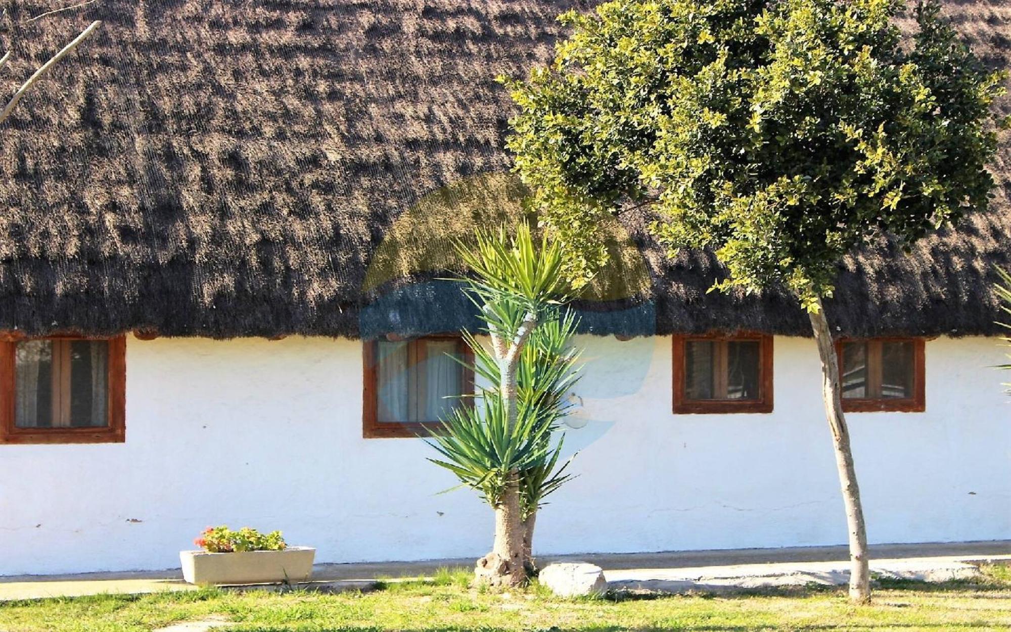 Barraca Tipica Del Delta, Con Piscina, Jardin Y Barbacoa - Deltavacaciones Villa Sant Jaume d'Enveja Luaran gambar